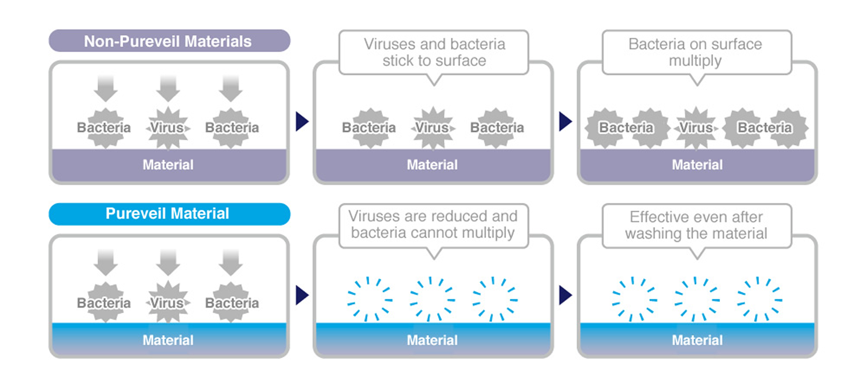 Bacteria Effect