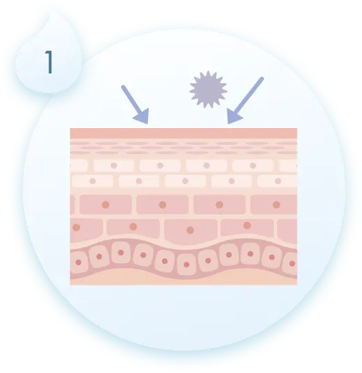 赤ちゃんの肌構造のイラスト