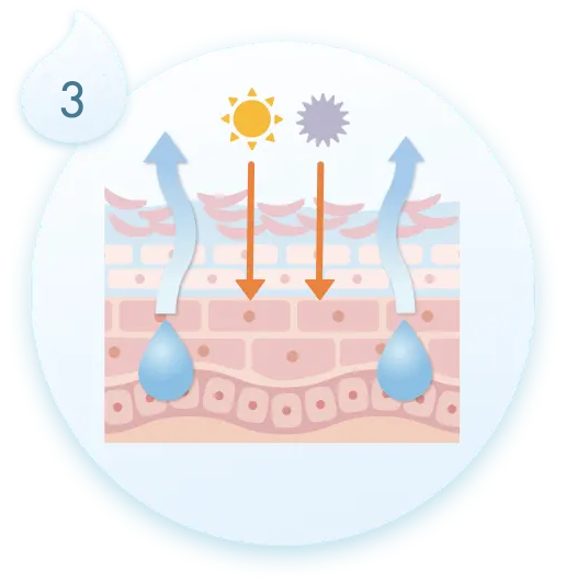 乾燥してバリア機能が低下した赤ちゃんの肌イラスト